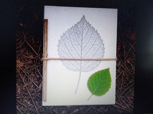 Workshop: Lesní deník — foto 6