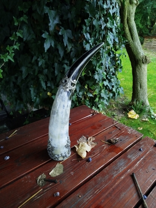 Vikingský Rituální Roh — foto 3