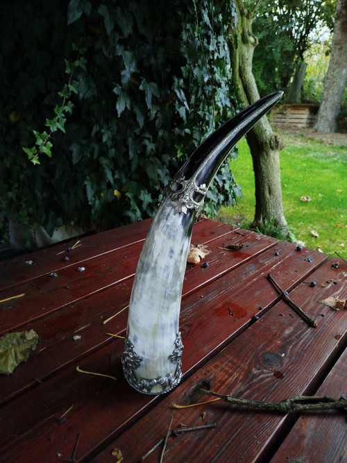 Vikingský Rituální Roh — foto 4