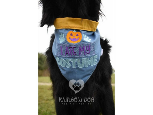 Halloweenský šátek pro psa — foto 4
