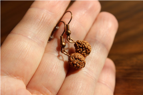 Rudraksha. "Síla přírody" Náušnice — foto 2