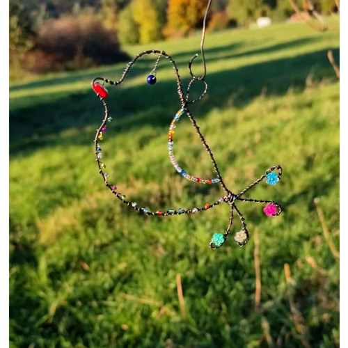 Drátovaný ptáček — foto 3