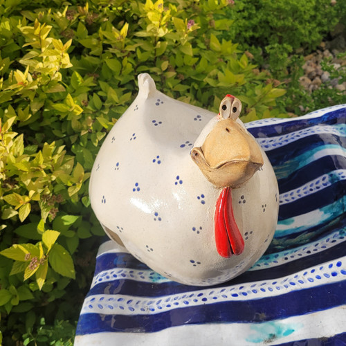 Pipka čumilka na plot — foto 4