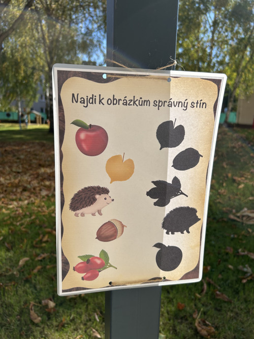 Podzimní plotovka — foto 4