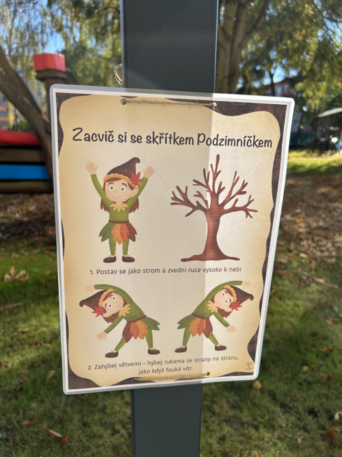 Podzimní plotovka — foto 5