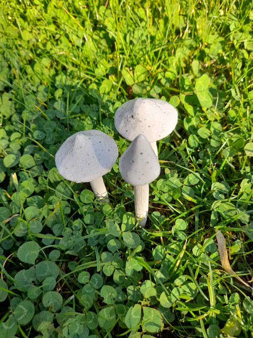 Keramické houbičky jako zápich bílé — foto 2
