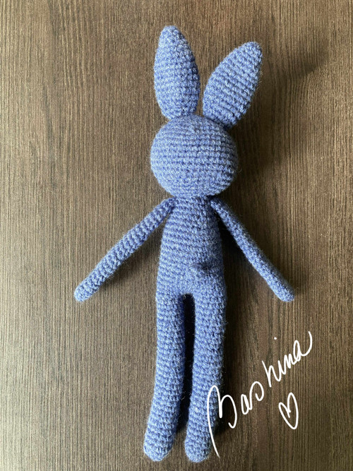 Zajíc dlouhán 004 — foto 3