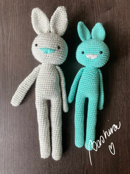 Zajíc dlouhán 006 — foto 3