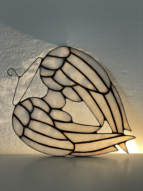 Andělská křídla — foto 3