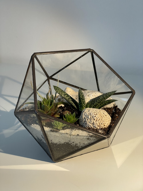 Florarium "Koulička " — foto 5