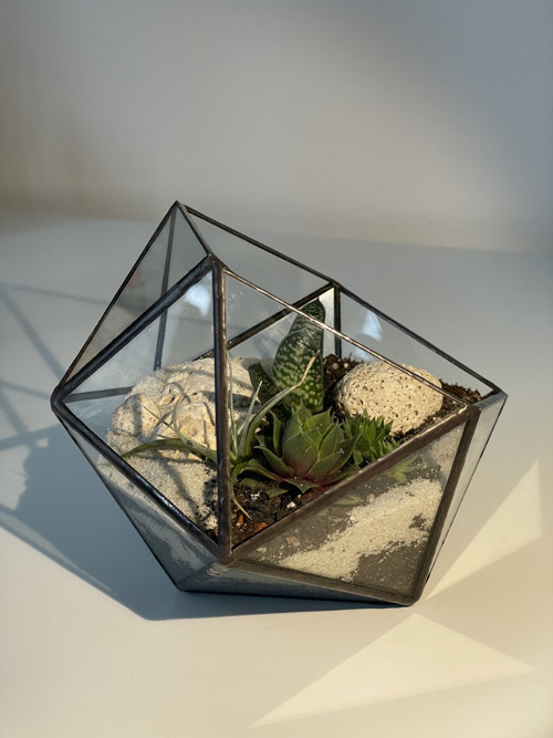 Florarium "Koulička " — foto 4