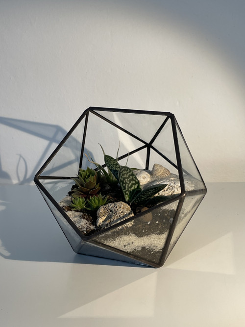Florarium "Koulička " — foto 2