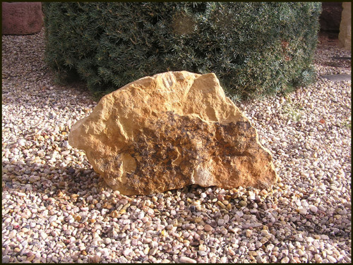Socha Z Pískovce - *Lidé* — foto 4