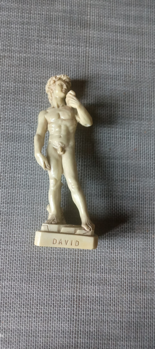 Socha David Italie — foto 2
