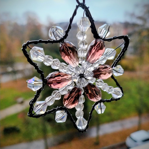 Hvězdička třpytivá purpurová — foto 2