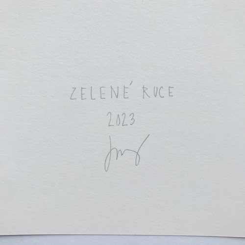 Zelené ruce — foto 4