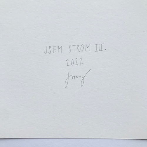 Jsem strom III. — foto 4