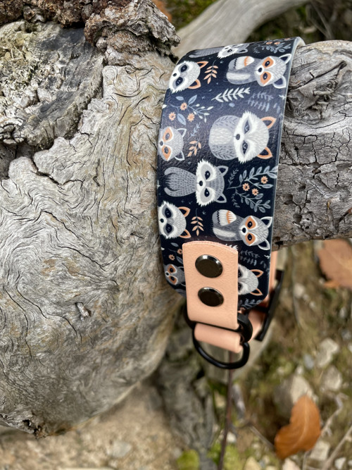 Biothane obojek - mýval II — foto 4
