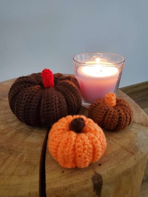 Mini dýně — foto 6