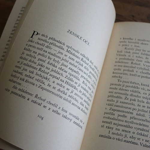 Zapomenuté údolí — foto 3