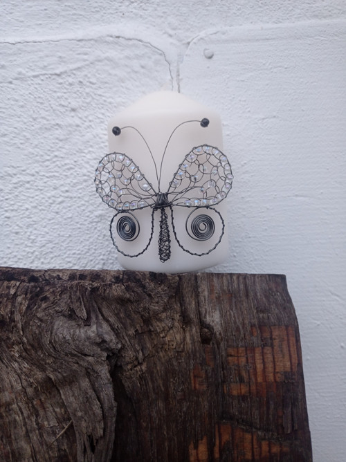 Svíčka motýlí — foto 3
