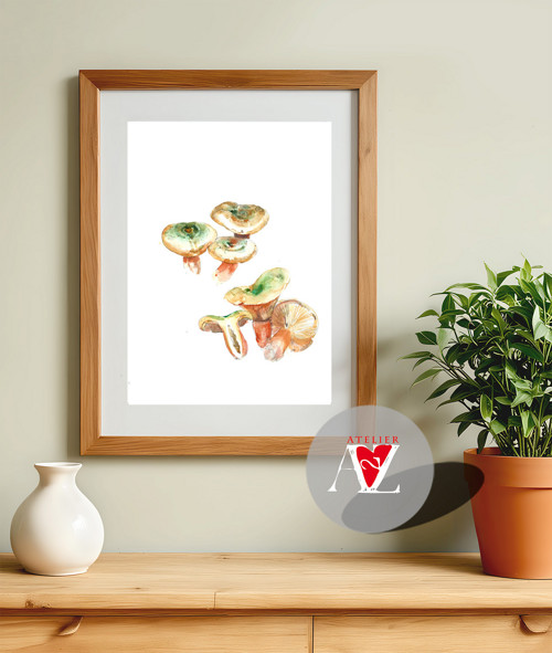 Ryzec Smrkový alebo Lactarius Deterrimus — foto 2