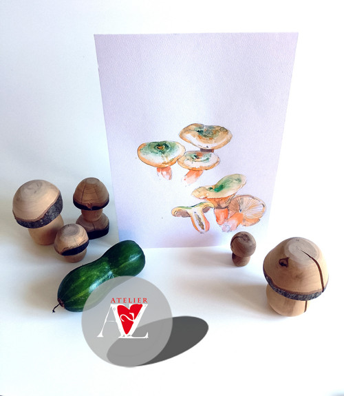 Ryzec Smrkový alebo Lactarius Deterrimus — foto 3