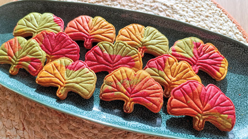 Ginkgo biloba list - set — foto 6