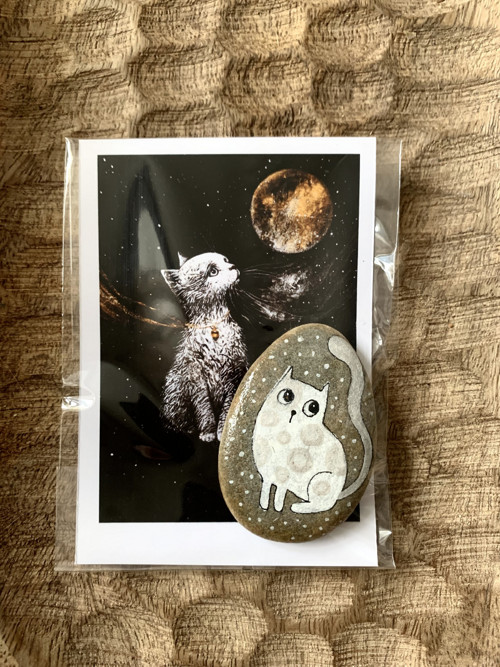 Kočky — foto 3