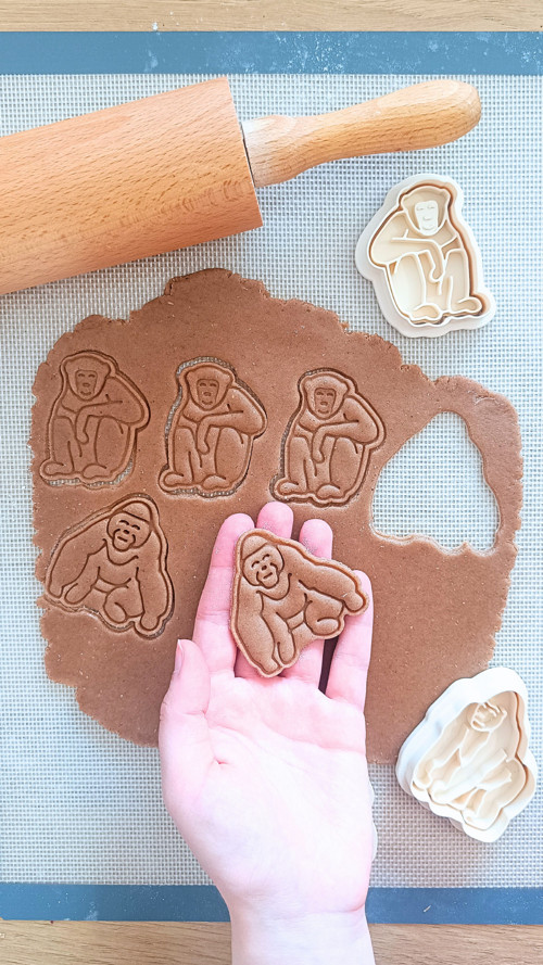 Orangutan — foto 3