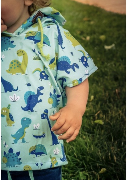 Modrý dinosaur, úplet — foto 4