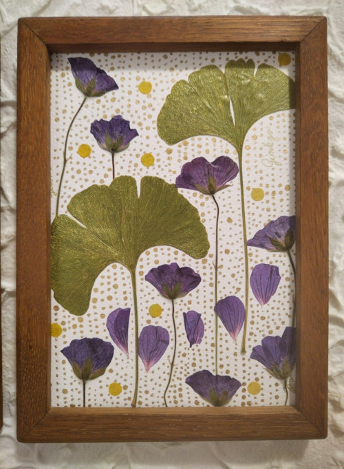 Obrázek Ginkgo — foto 5