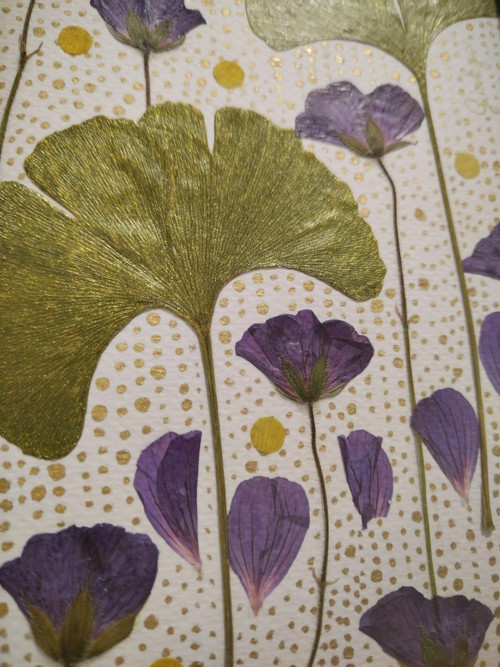 Obrázek Ginkgo — foto 4