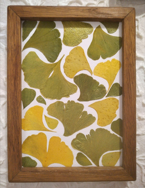 Obrázek Ginkgo — foto 3