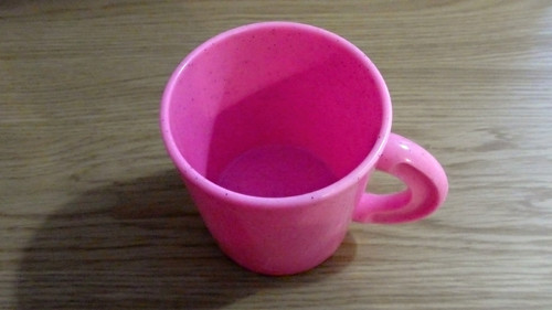 Pro Růžu — foto 2