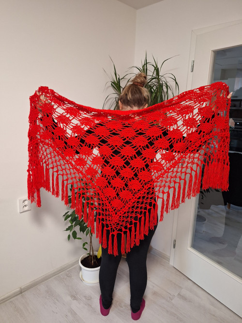 Scarlet + — foto 6