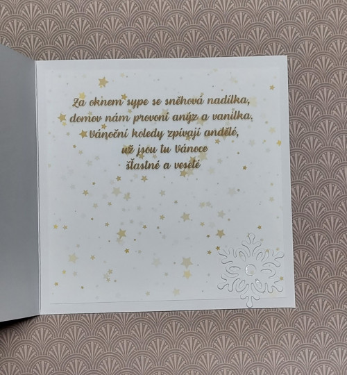Vánoční 3D přáníčko -Čekání na Vánoce — foto 3