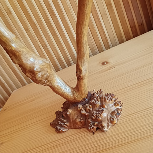 Svícen ze samorostu — foto 3