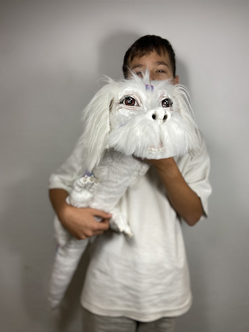 Drakopes na přání — foto 2