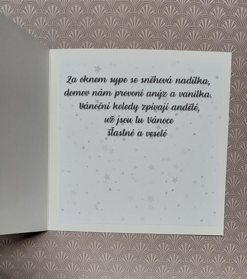 Vánoční 3D přáníčko - Medvědí Vánoce — foto 3