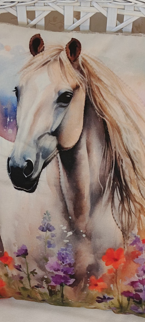 Kůň 1. — foto 2