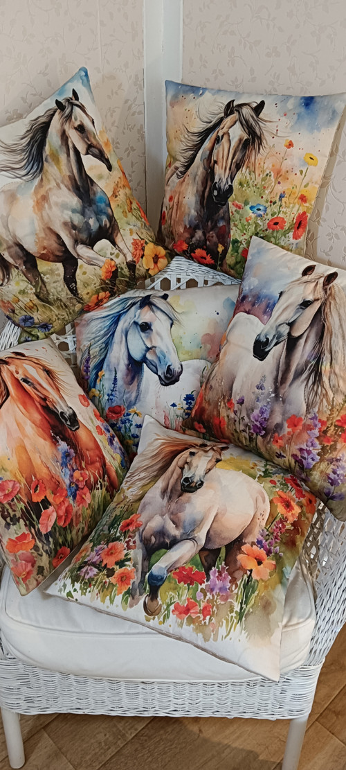 Kůň — foto 4