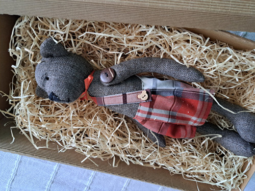 Medvěd — foto 4