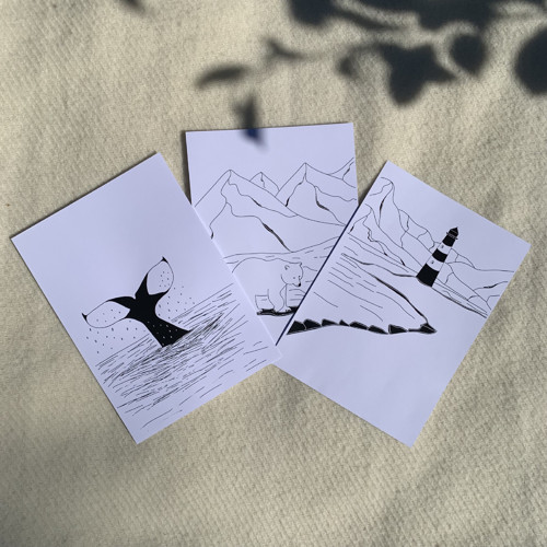 Příroda Severu - Kolekce ilustrací — foto 2