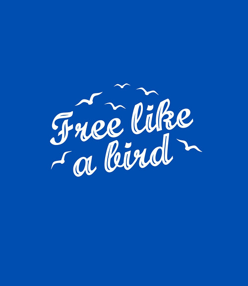 Free Like a Bird | pánské tričko — foto 4