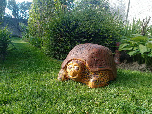 Želva — foto 2