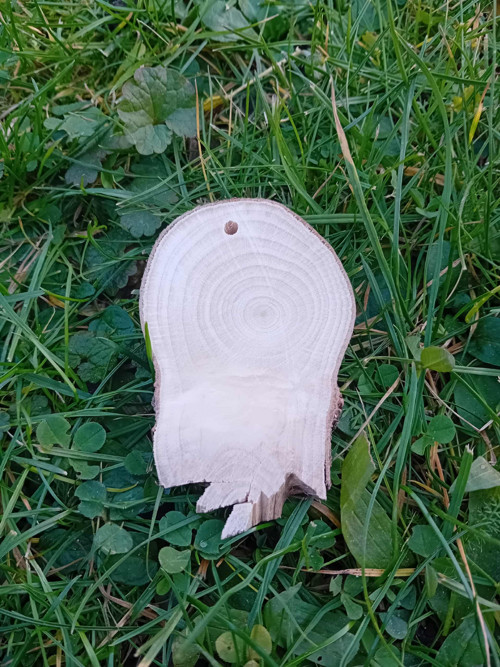 Javorový oválek 1 — foto 2