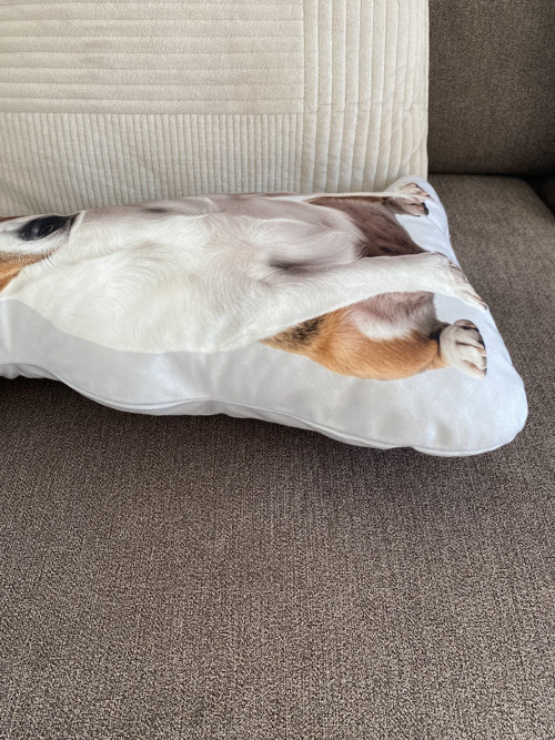 Polštář 3D - Jack Russell teriér — foto 2