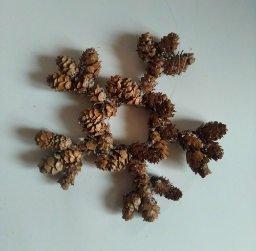Přírodní vločka — foto 2