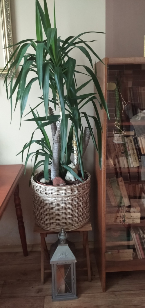 Obal na květináč — foto 2